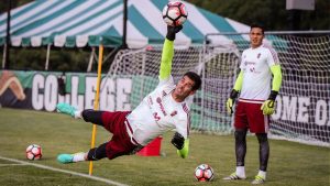 Dani Hernández Vinotinto