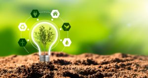 La innovación sustentable como parte de la Responsabilidad Social Empresarial – Fundación Yammine