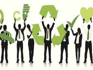 Fundación Yammine - Empleos verdes; Qué son y por qué pueden ser una alternativa ambiental - FOTO