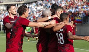 Vinotinto