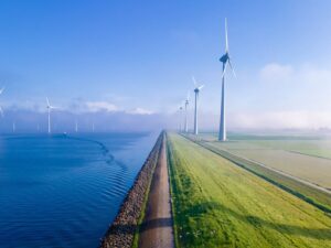 Armando Iachini - Energía verde; Sabes de qué trata y cuáles son sus beneficios - FOTO