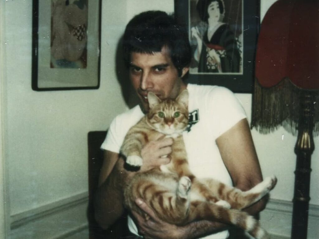Freddie Mercury