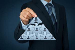 Dirección de empresas de seguros