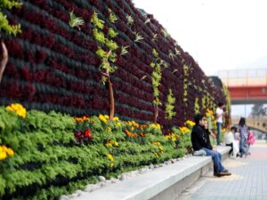 Juan Francisco de Jesús Clerico Avendaño - Jardines verticales ¡La mejor opción para incluir la naturaleza en casa! - FOTO