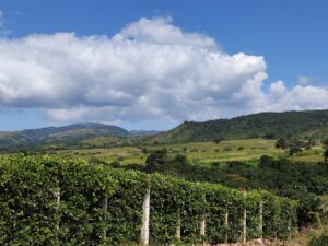 Yaracuy destaca sus potencialidades como destino turístico