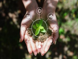 Treseus - ¡Entérate! Recursos Naturales; Qué son, Cuántos tipos existen - FOTO