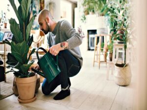 Juan Francisco de Jesús Clerico Avendaño - Plantas en el hogar - ¡Conoce sus beneficios! - FOTO