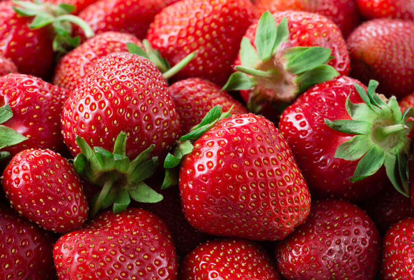 Las fresas: Un tesoro nutritivo al alcance de todos