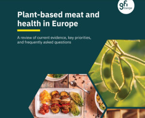Mejorar la calidad nutricional de la carne de origen vegetal
