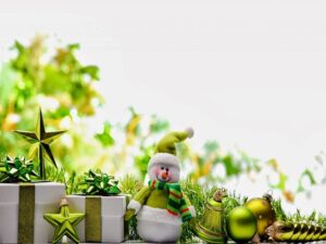 Juan Francisco de Jesús Clerico Avendaño - Navidades ecológicas; ¡Consejos para ponerlas en práctica! - FOTO