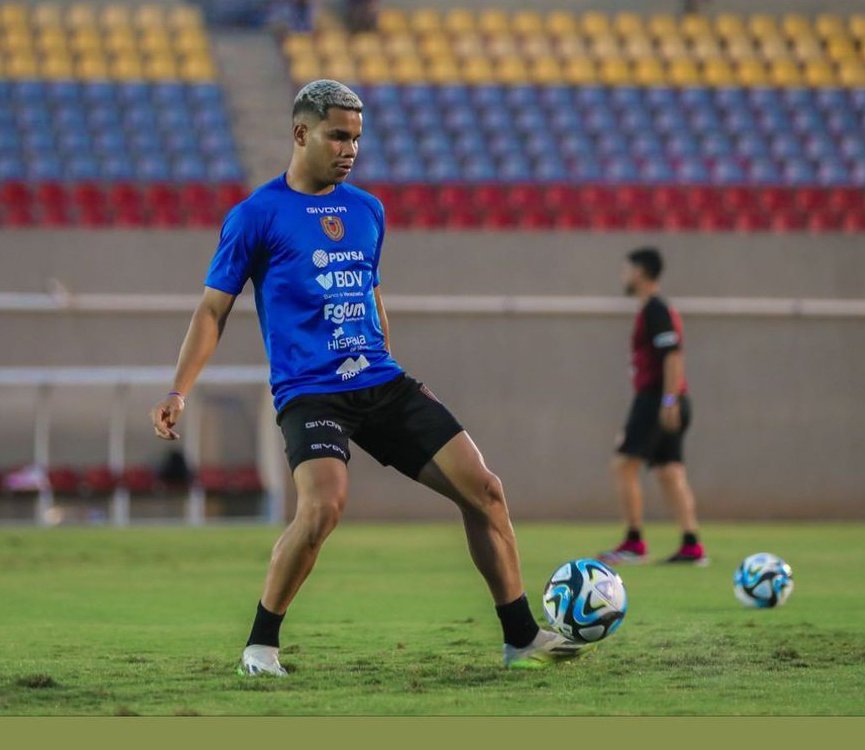 Miguel Navarro - Vinotinto