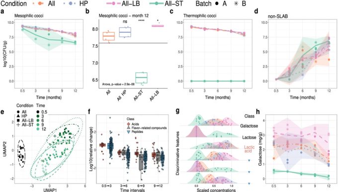 Investigación sobre los sabores del queso Cheddar