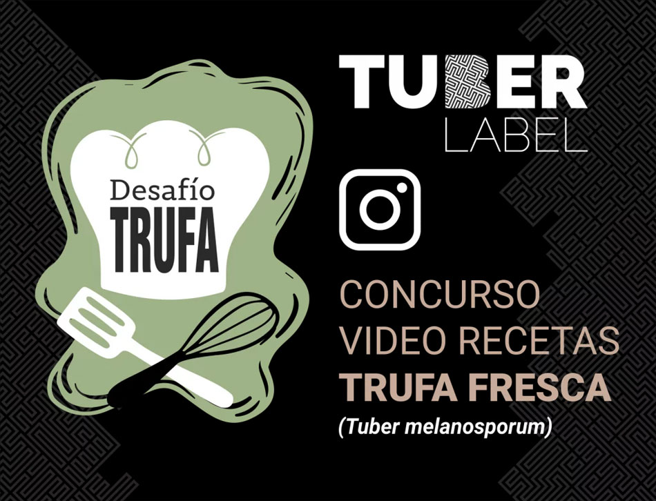 Concurso de recetas