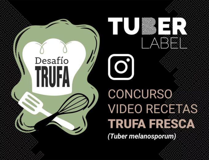 Concurso de recetas
