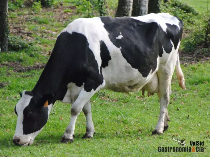 Reducir la cantidad de nitrógeno que se libera a la atmósfera