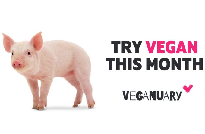 Iniciarse en la dieta vegana 