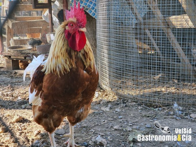 Luchar contra las bacterias resistentes a los antibióticos