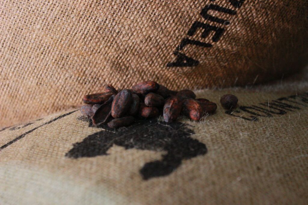 Venezuela exportó más de 300 toneladas de cacao merideño