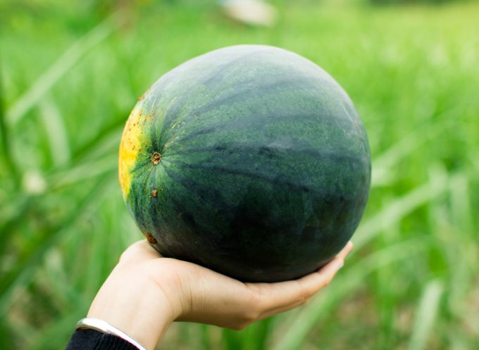 Comprar una sandía entera