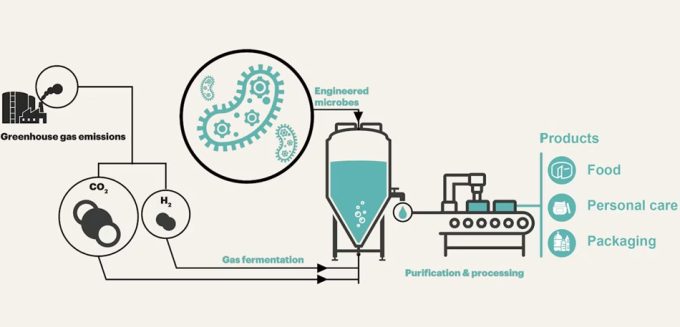 Utilizar gases de efecto invernadero para producir materias primas alimentarias