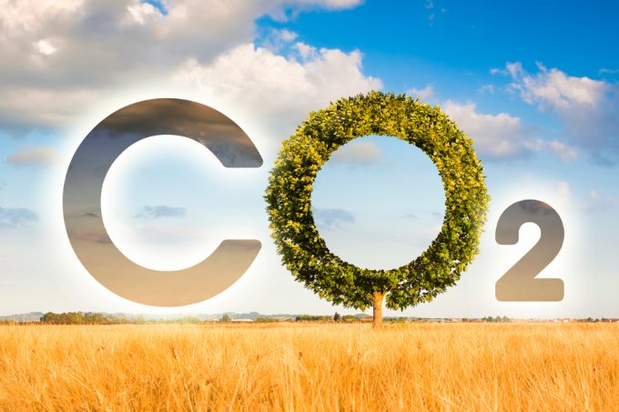 Etoquetas climáticas en los alimentos envasados para mejorar la salud y reducir el impacto medioambiental