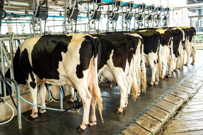 determinar la efectividad de la pasteurización ante el virus de la gripe aviar