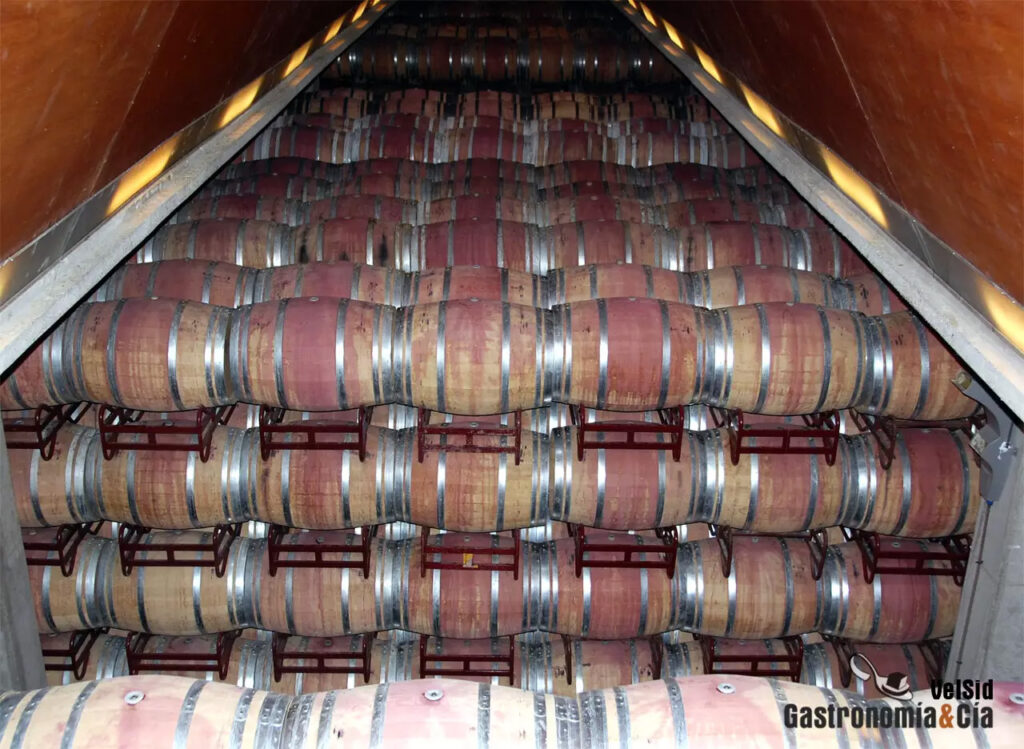 Bodega de vinos