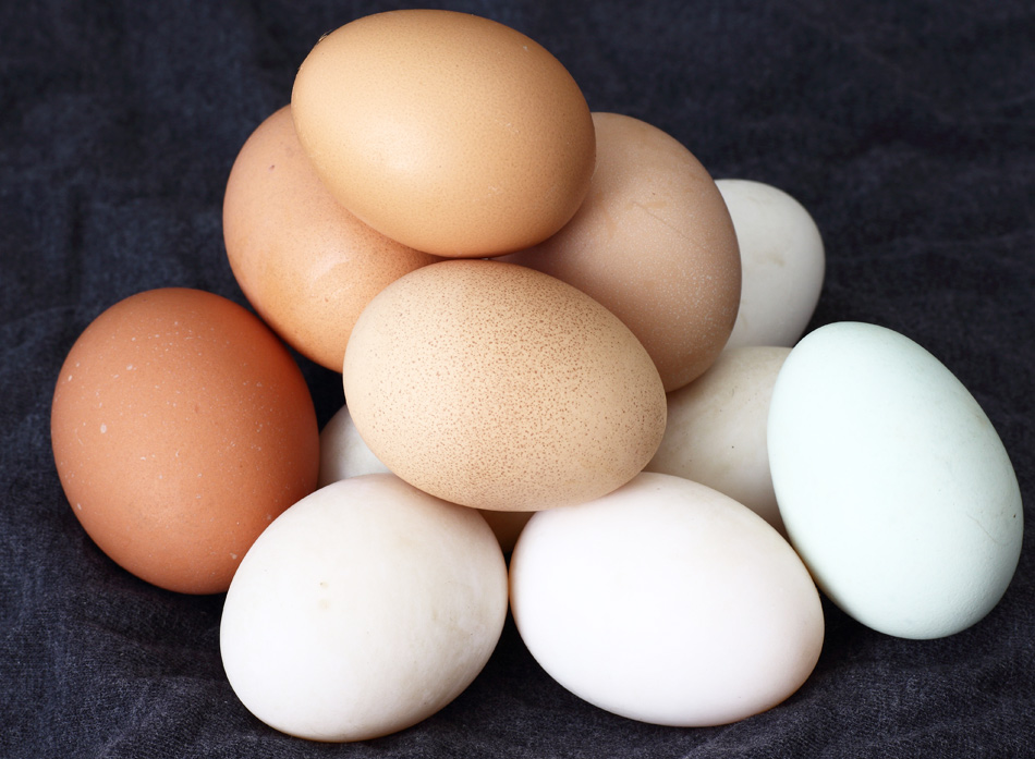 Los huevos frescos de Mercadona son los recomendados por la