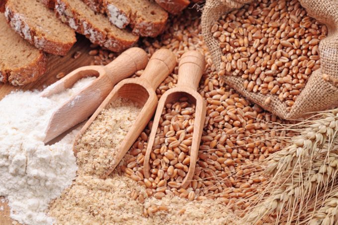Riesgos de las toxinas vegetales para la salud humana