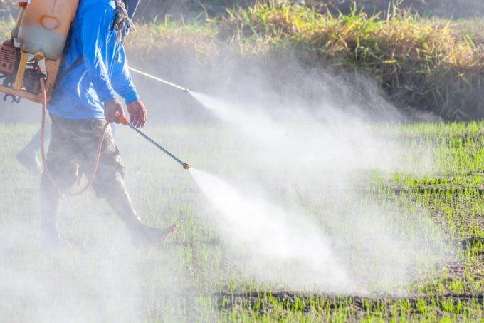 pesticidas o plaguicidas boomerang