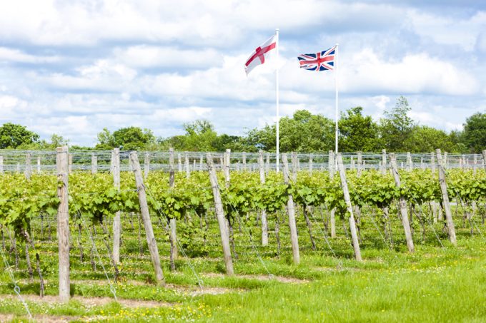 Regiones vinícolas de Inglaterra