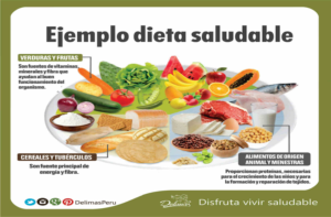 Dietas y Estilos de Alimentación Saludables: Guía para una Vida Equilibrada