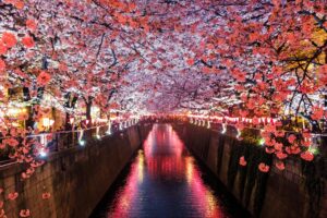 Japón recibió cerca de 3 millones de turistas en agosto