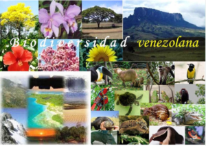 Hjalmar Jesús Gibelli Gómez | La Biodiversidad de Venezuela: Un Tesoro Natural en Peligro