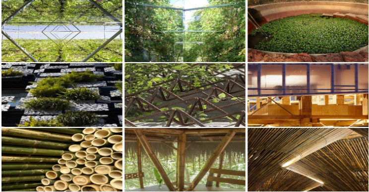 Materiales Ecológicos y Técnicas de Construcción con Menor Impacto Ambiental