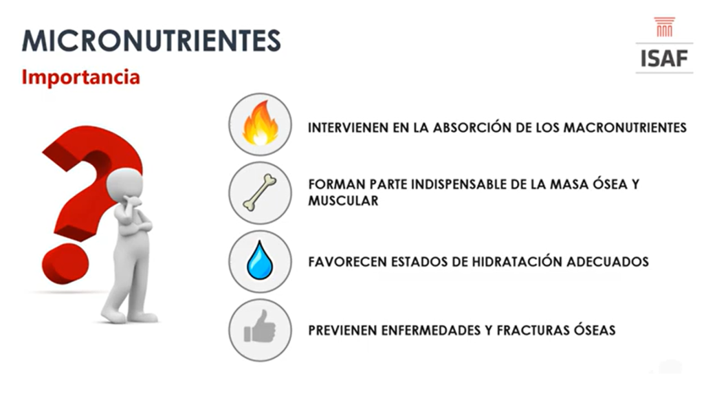 Micronutrientes. - Blog Instituto ISAF