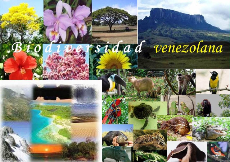 ¿Qué Finalidad Tiene el Movimiento Ecologista en Venezuela? Por Hjalmar Jesús Gibelli Gómez
