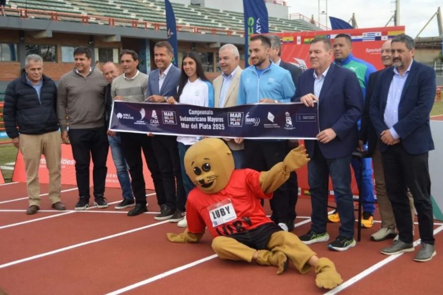 Imagen referencial B