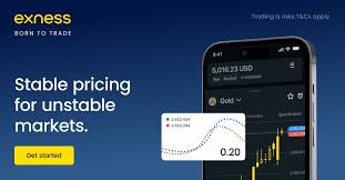 Comprehensive Guide to Your Exness Trading Account