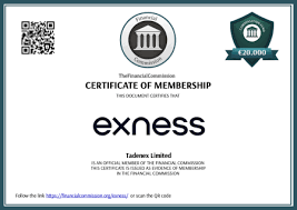 Downloading Exness For IOS Devices 19 Downloading Exness For IOS Devices 19