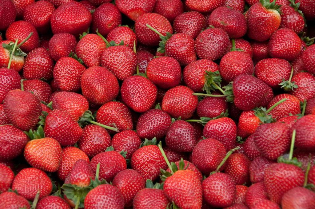 Desde el 13 hasta hoy 15 de marzo: Se celebra el "I Festival de las Fresas" en la Colonia Tovar