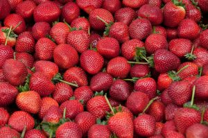 Desde el 13 hasta hoy 15 de marzo: Se celebra el "I Festival de las Fresas" en la Colonia Tovar