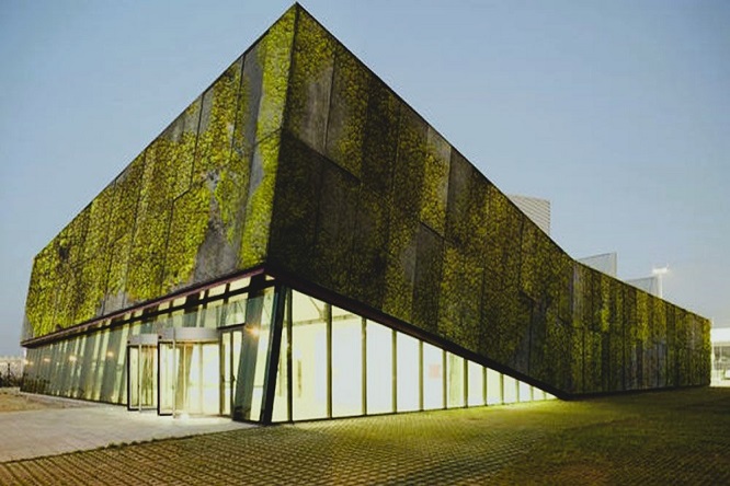 PILPERMIX - Concreto bioreceptivo; El futuro de las fachadas vivas - FOTO